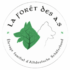 logo de l'elevage la forêt des A.S Altdeutsche Schäferhund