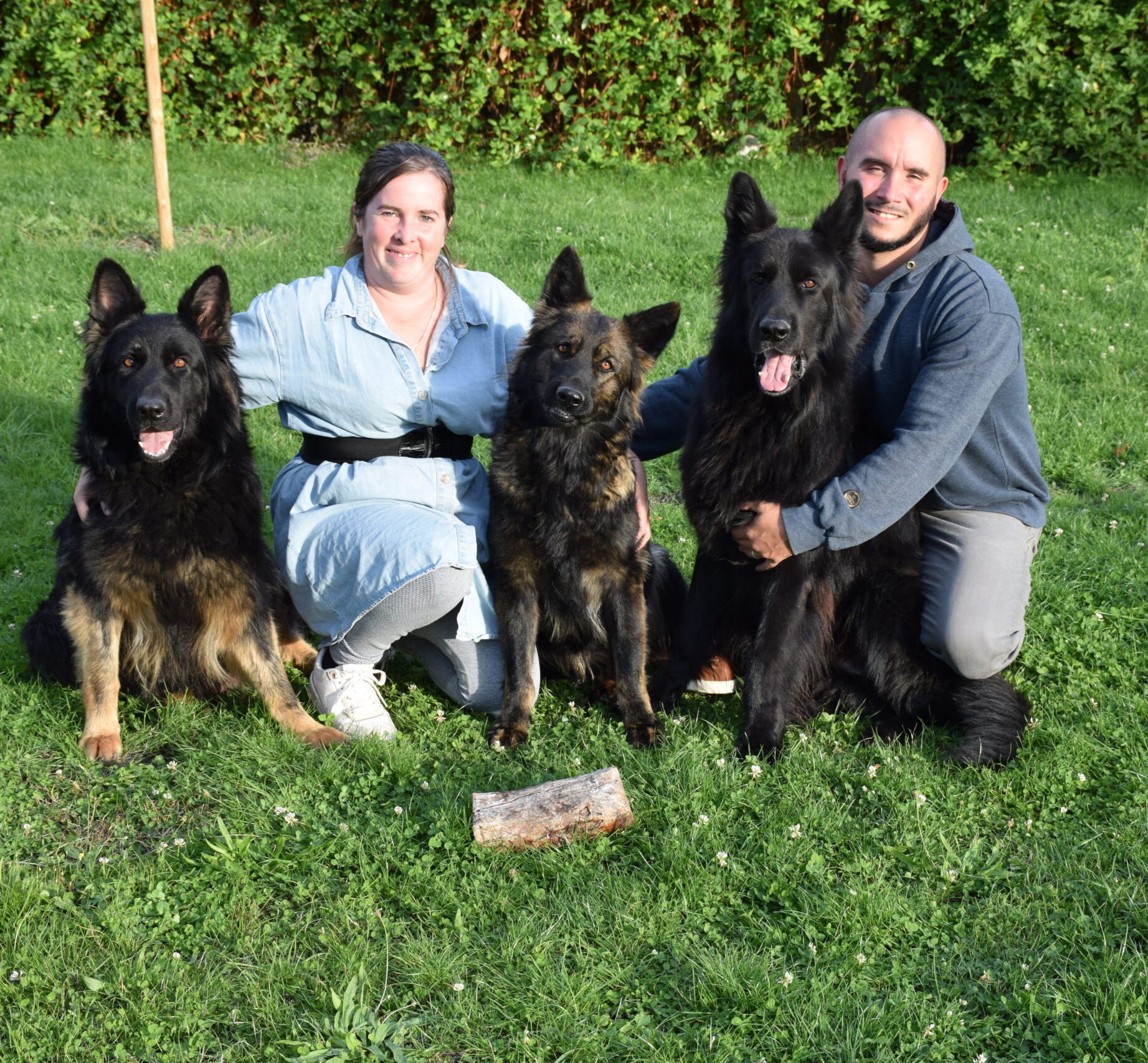 Pauline et Mickael accroupies avec deux chiennes et un chien Aldeutsche Shäferhund